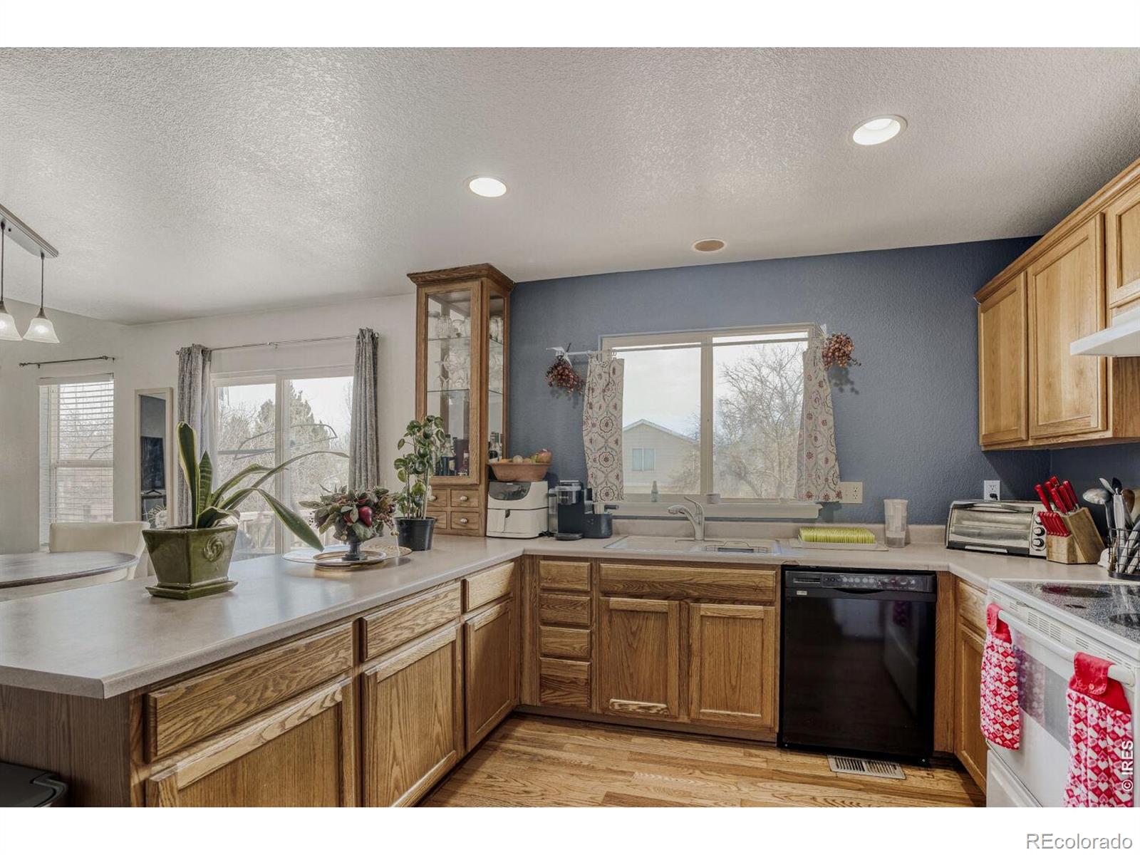 4228 E 94th Place Thornton CO 80229