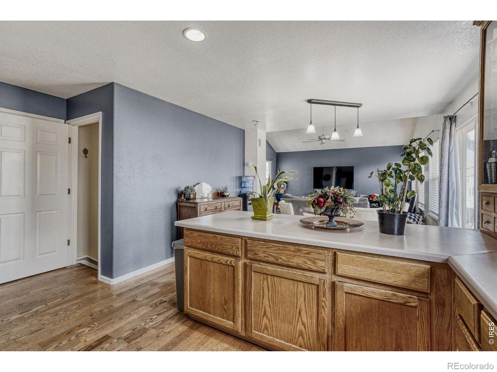4228 E 94th Place Thornton CO 80229