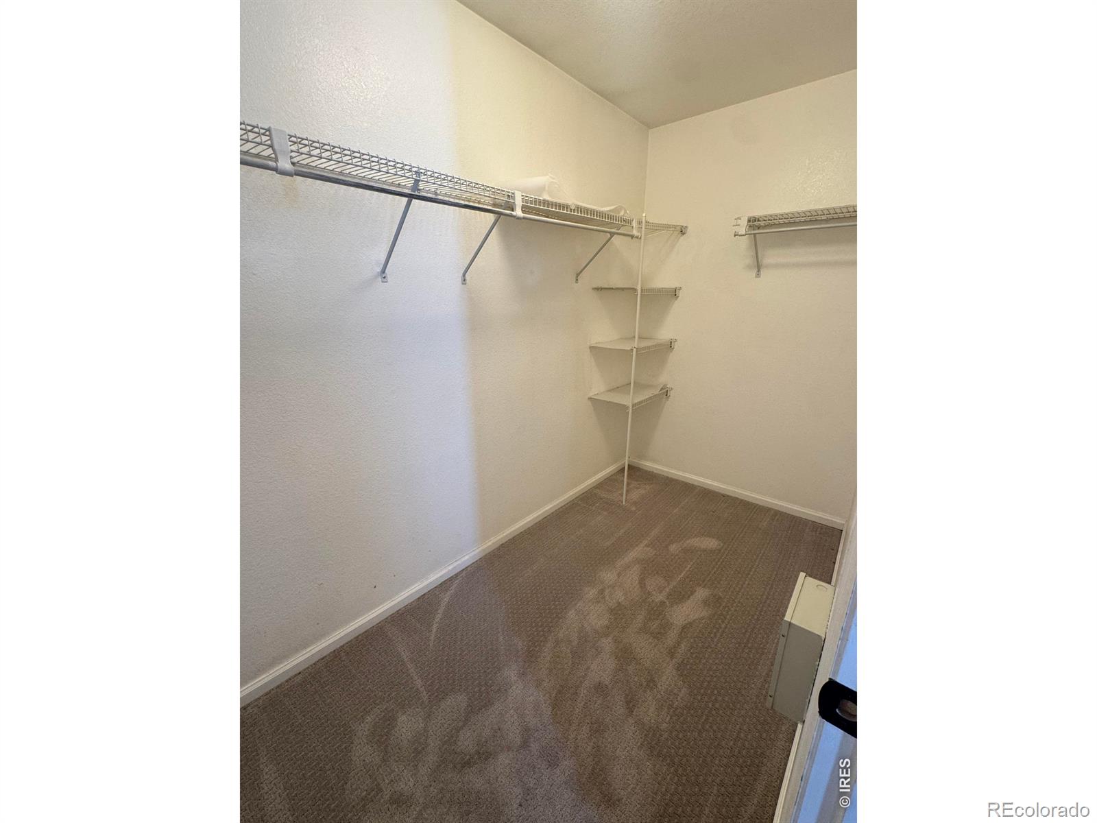 4228 E 94th Place Thornton CO 80229