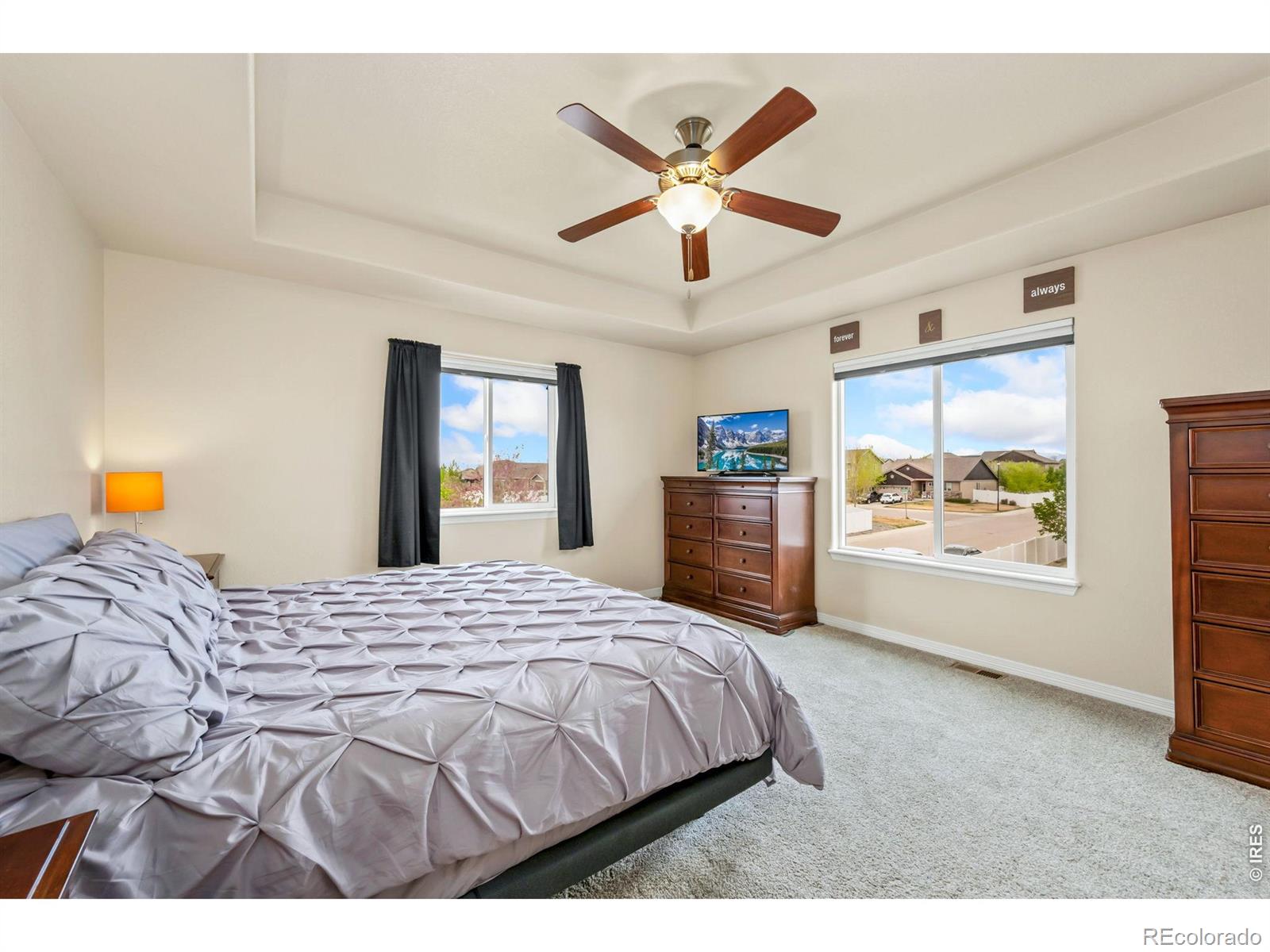5628 Bexley Drive Windsor CO 80550