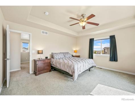 5628 Bexley Drive Windsor CO 80550