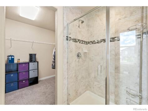 5628 Bexley Drive Windsor CO 80550