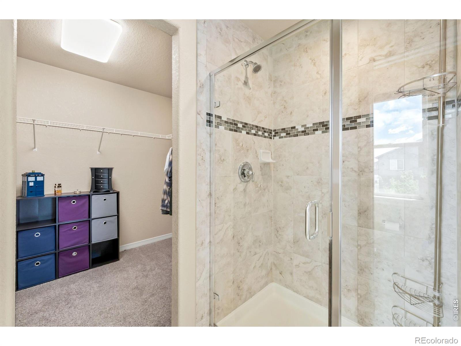 5628 Bexley Drive Windsor CO 80550