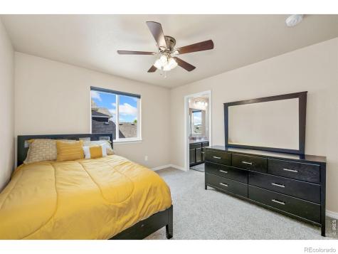 5628 Bexley Drive Windsor CO 80550