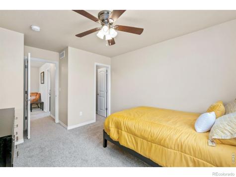 5628 Bexley Drive Windsor CO 80550