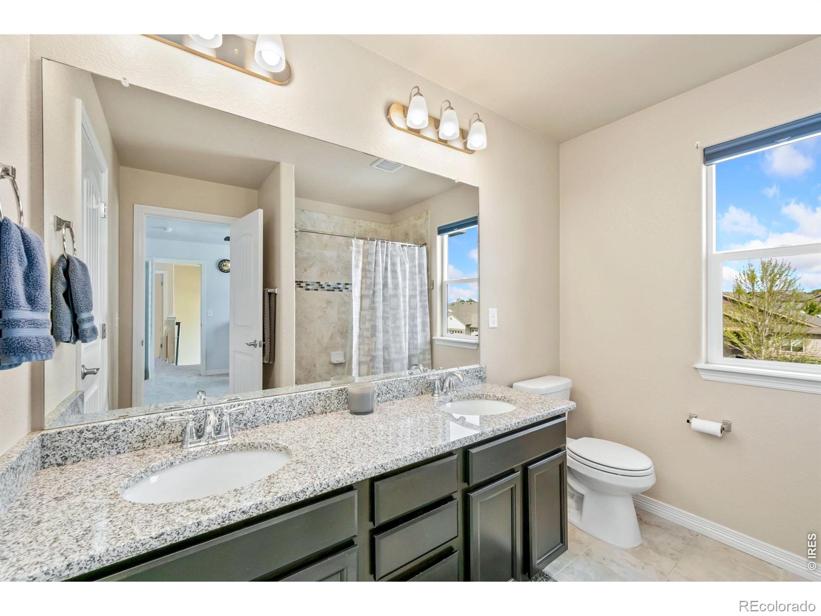 5628 Bexley Drive Windsor CO 80550