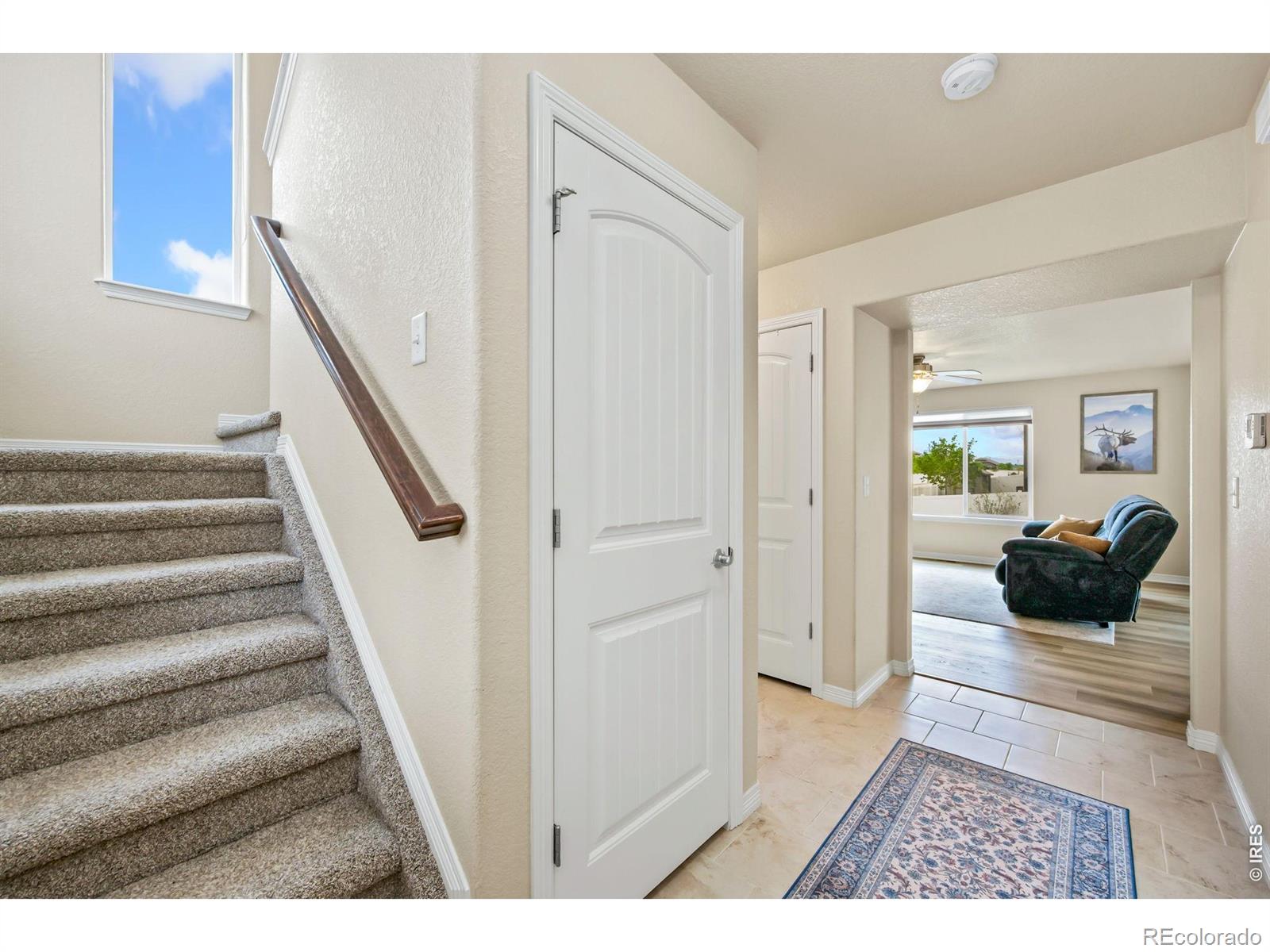 5628 Bexley Drive Windsor CO 80550