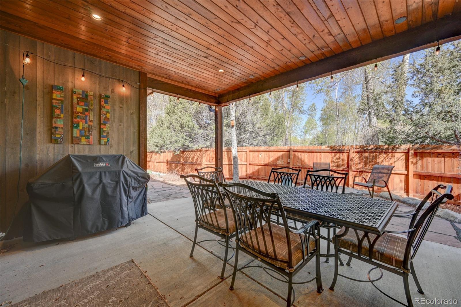 116 Meadow Lane Buena Vista CO 81211