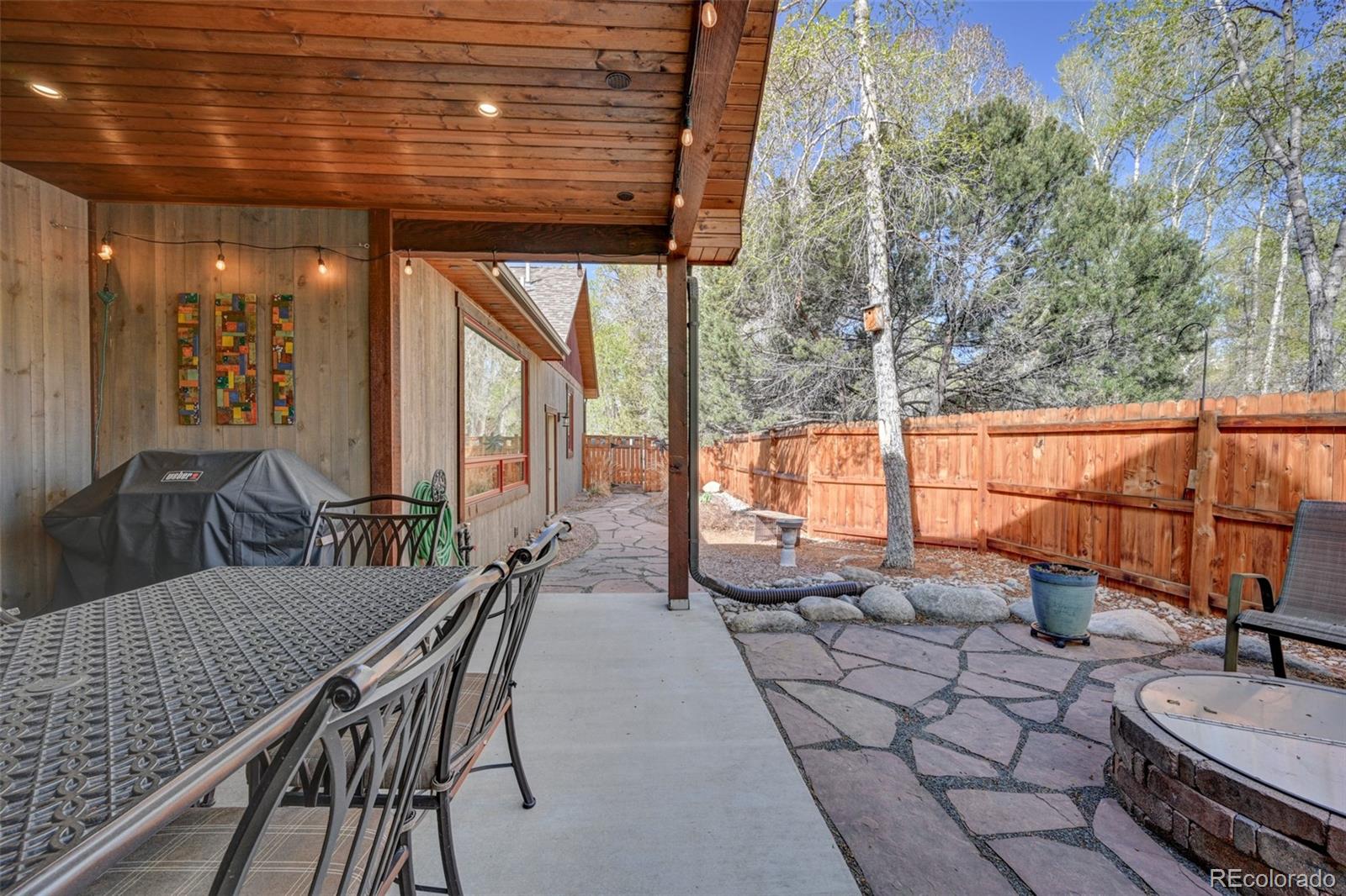 116 Meadow Lane Buena Vista CO 81211