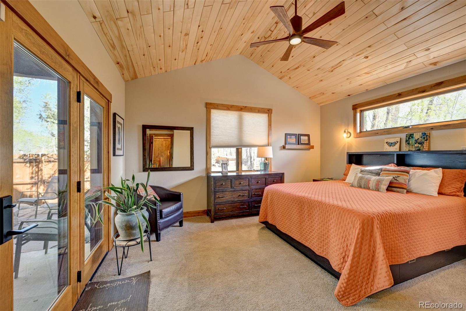 116 Meadow Lane Buena Vista CO 81211