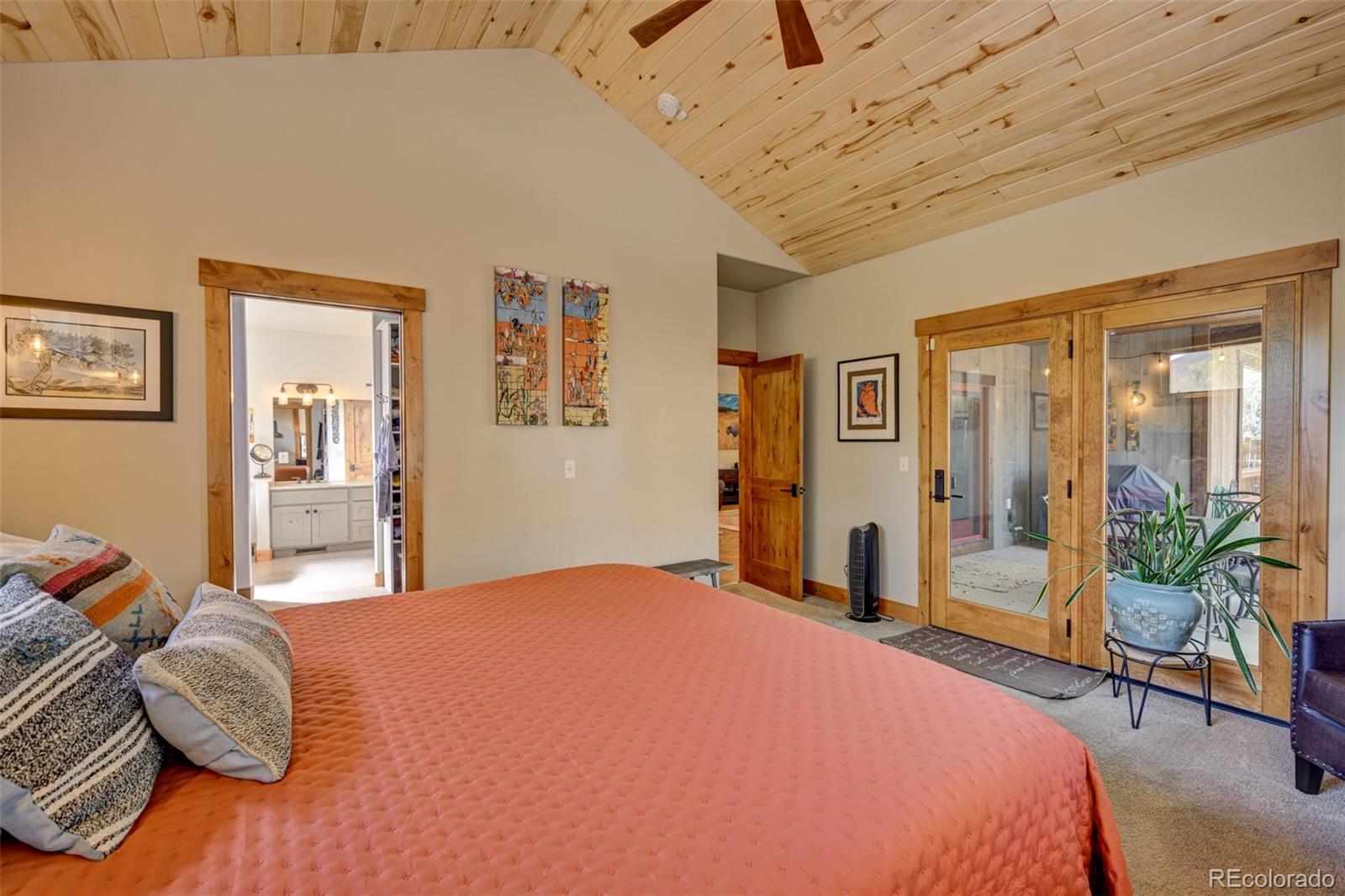 116 Meadow Lane Buena Vista CO 81211