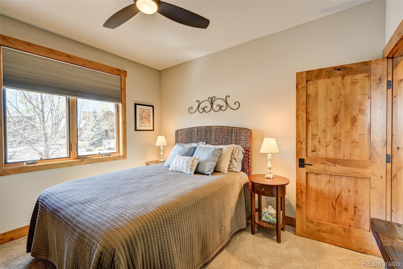 116 Meadow Lane Buena Vista CO 81211