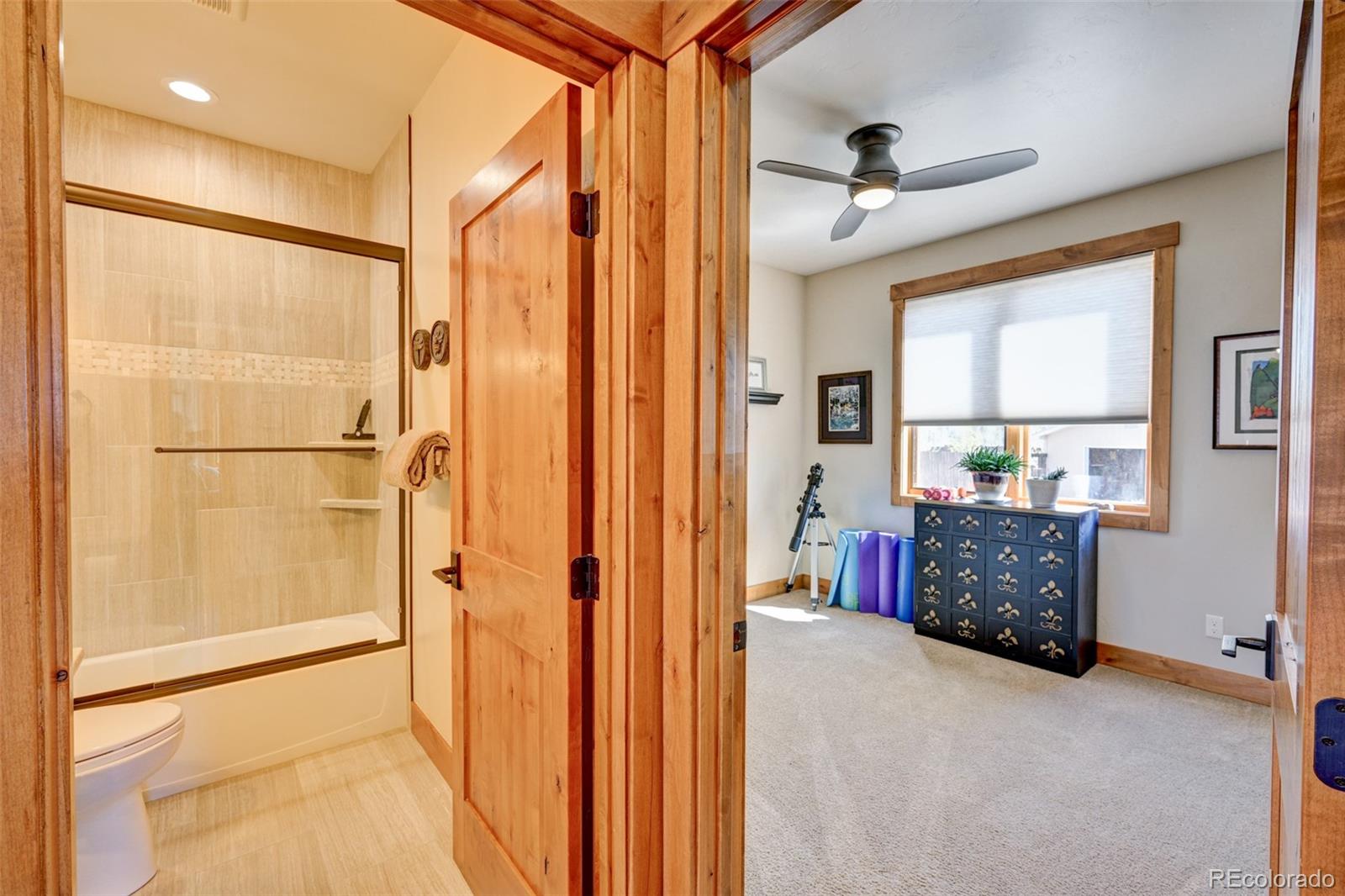 116 Meadow Lane Buena Vista CO 81211