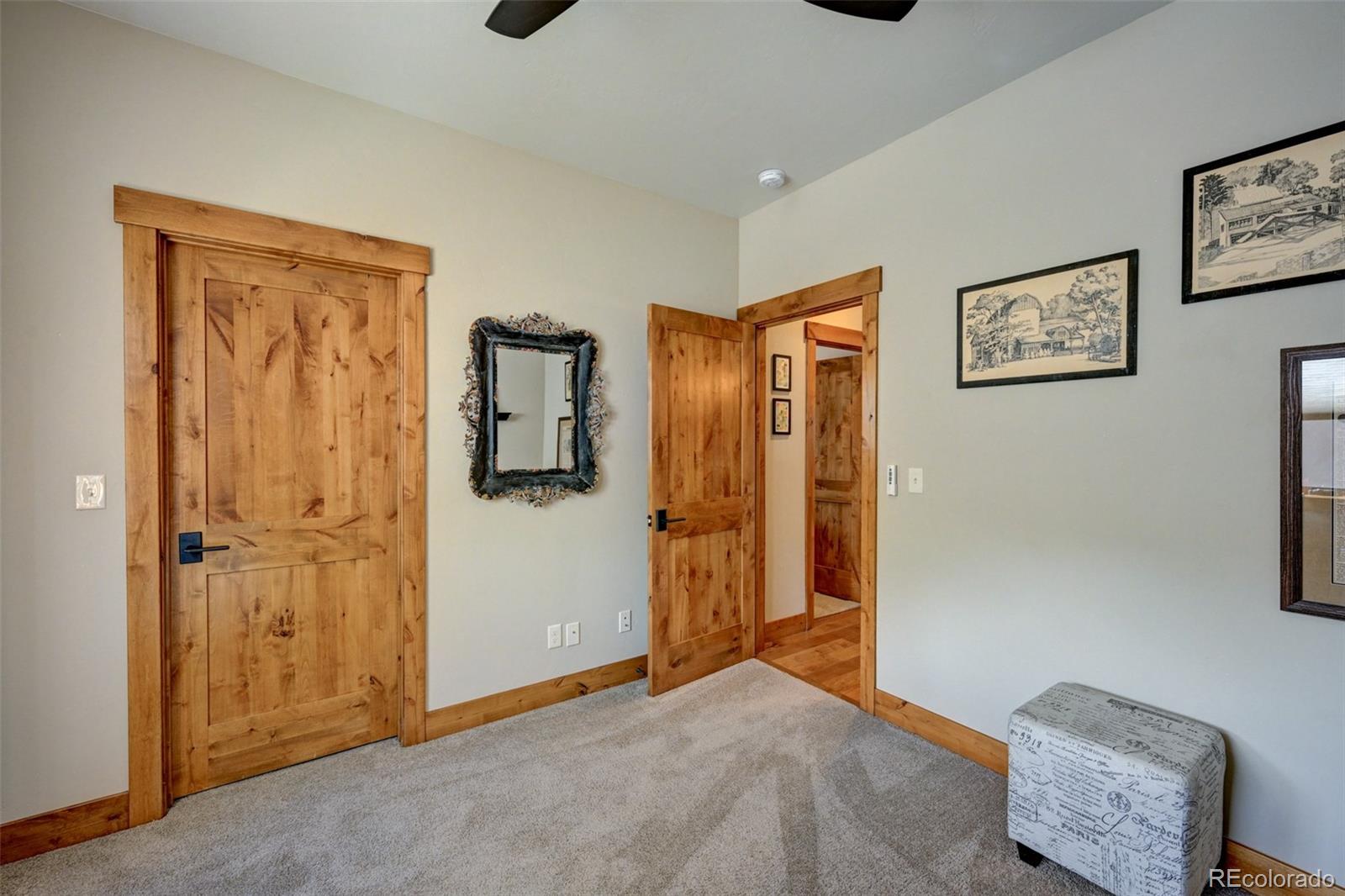 116 Meadow Lane Buena Vista CO 81211