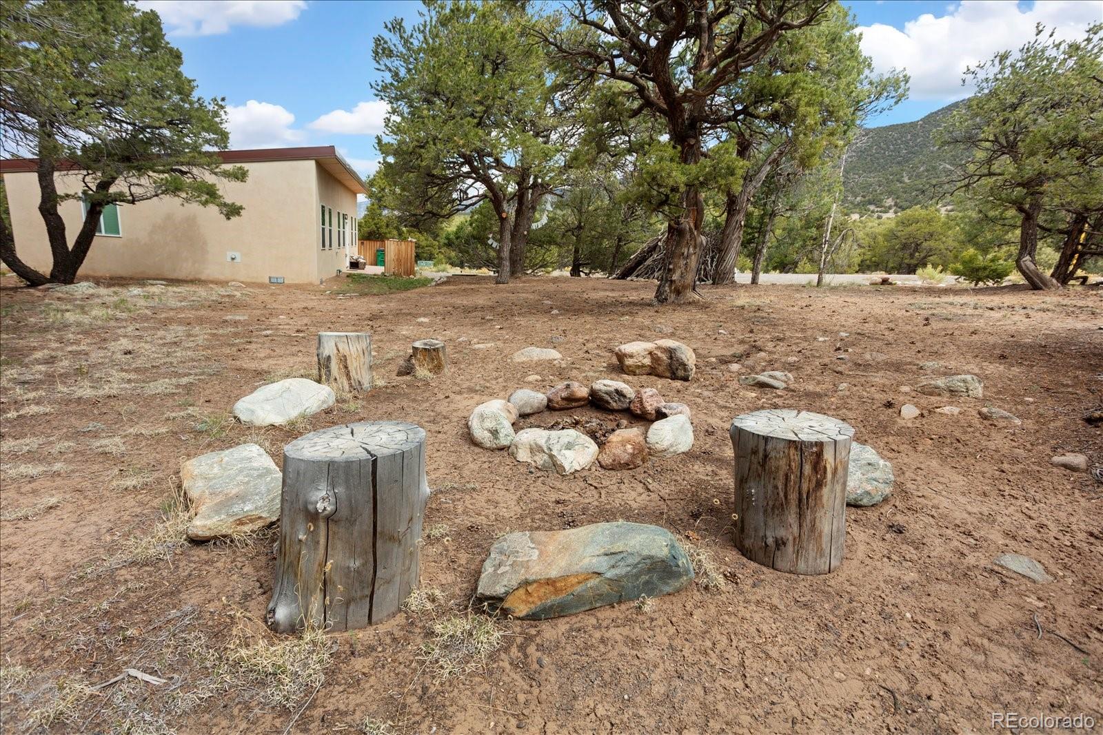 3538 Camino Del Rey Crestone CO 81131