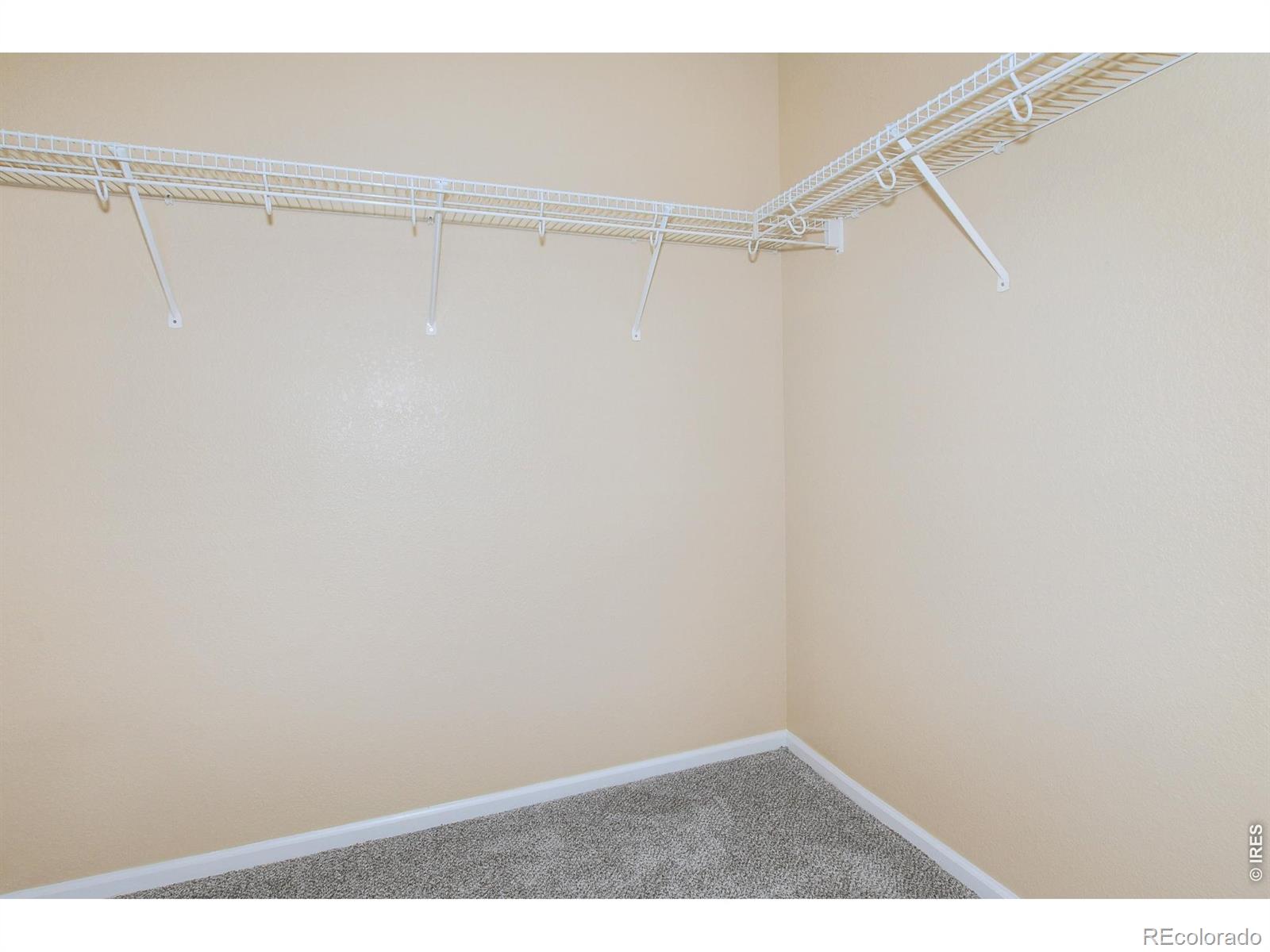 3445 Meadowlark Avenue Fort Collins CO 80526