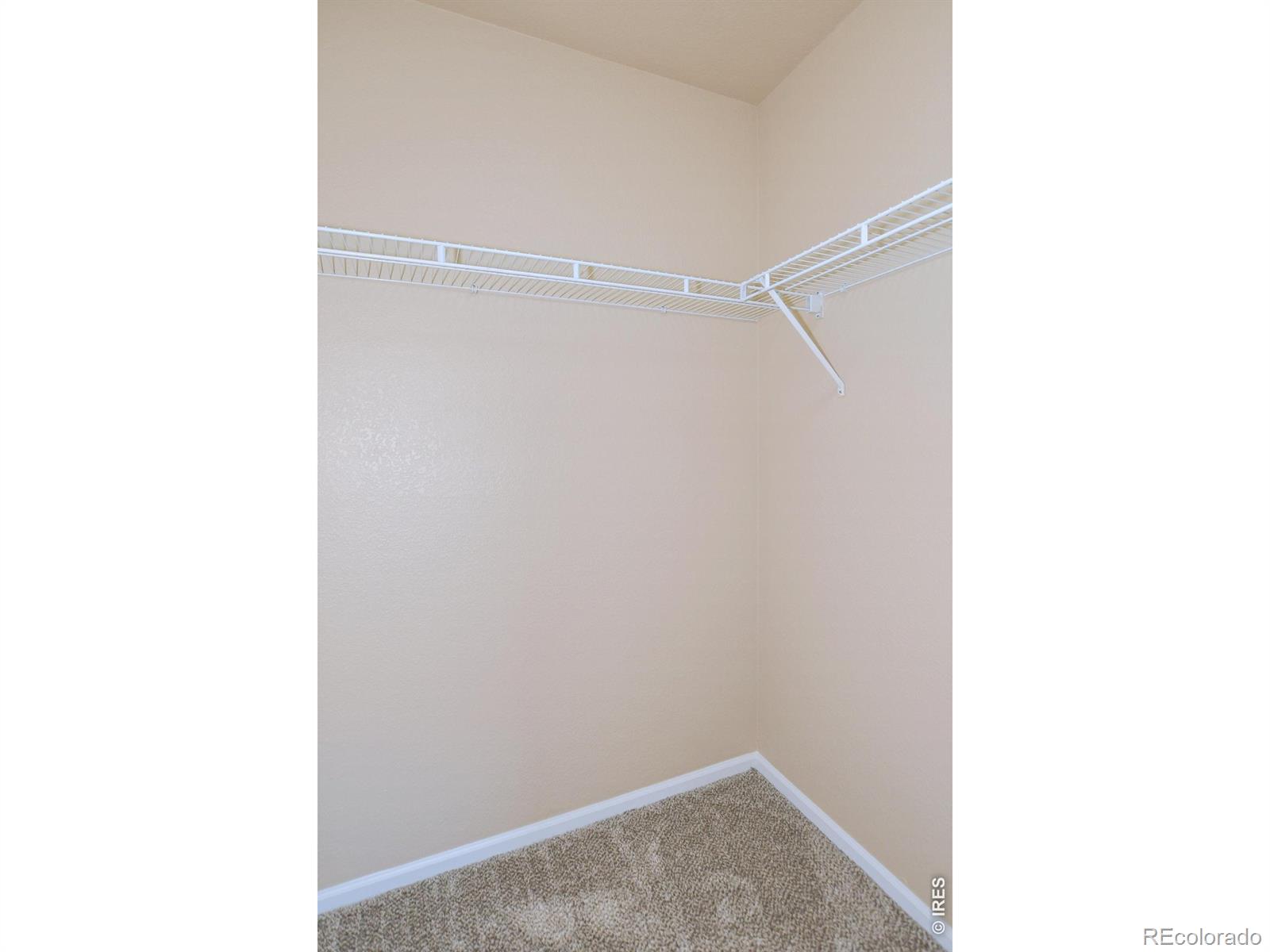 3445 Meadowlark Avenue Fort Collins CO 80526