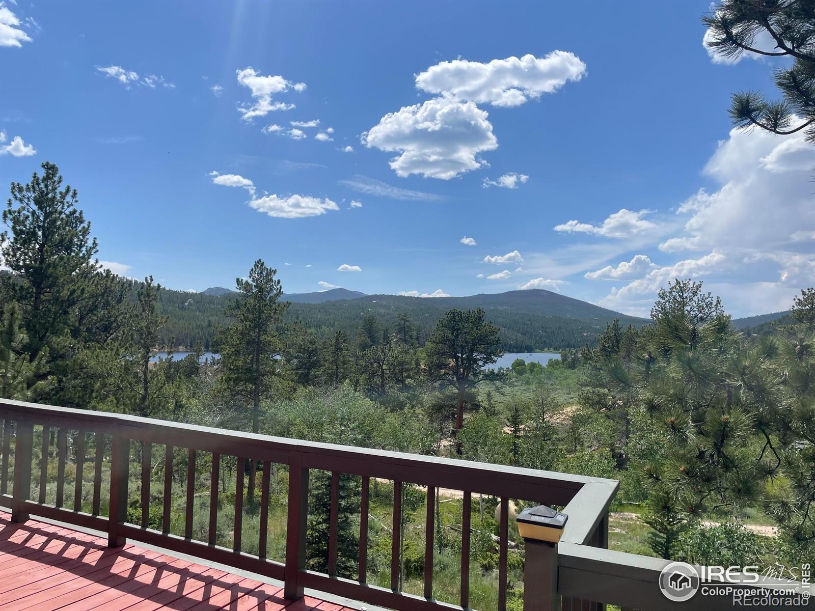 134 Swift Deer Road Red Feather Lakes CO 80545