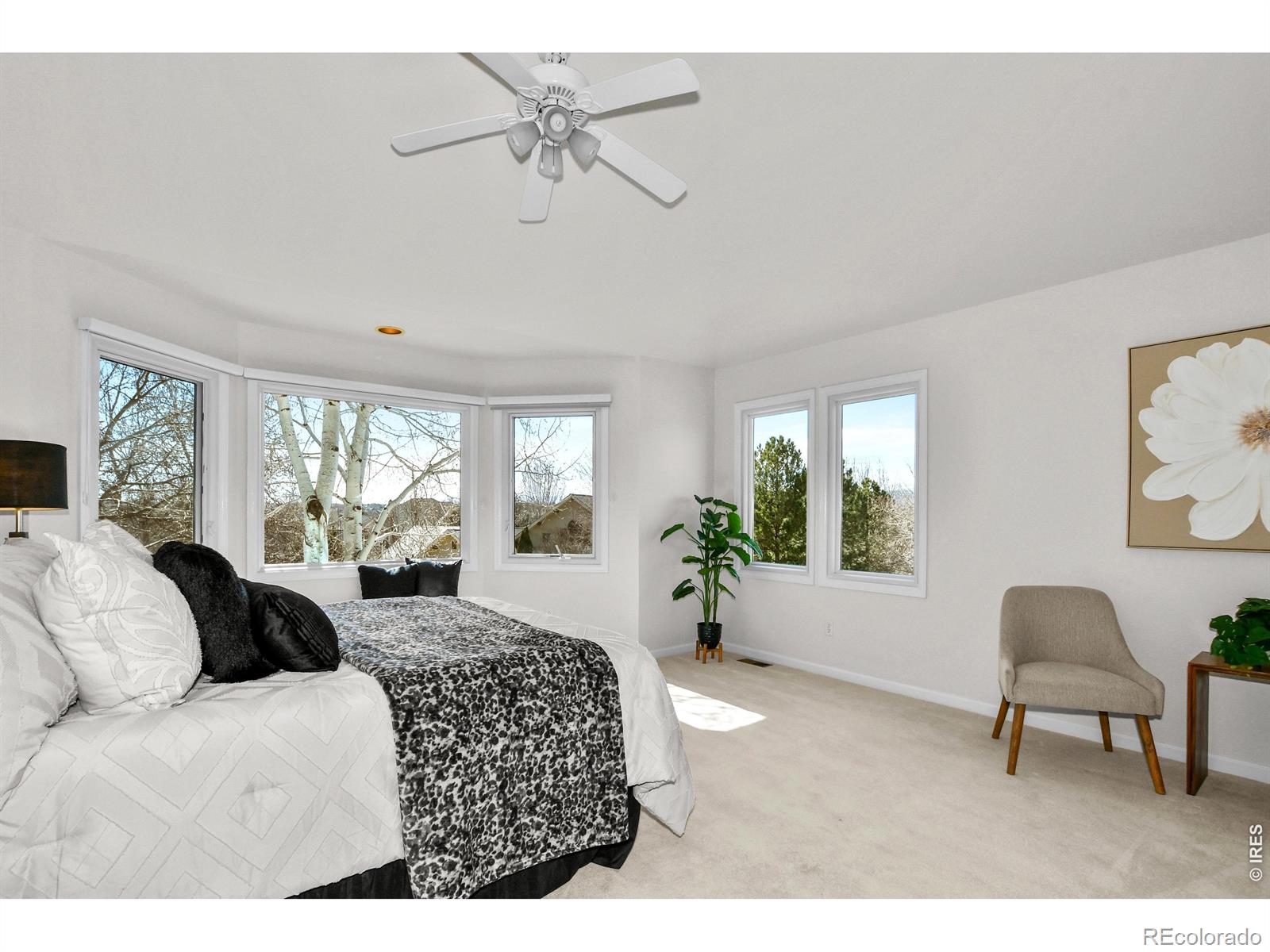 6367 Falcon Ridge Court Fort Collins CO 80525