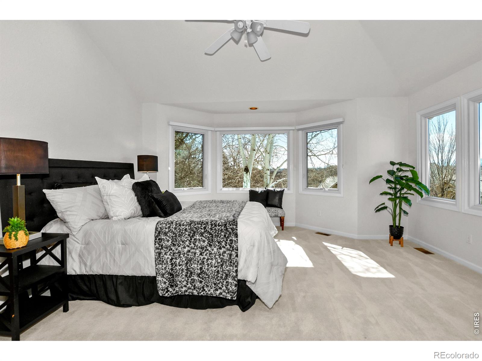 6367 Falcon Ridge Court Fort Collins CO 80525