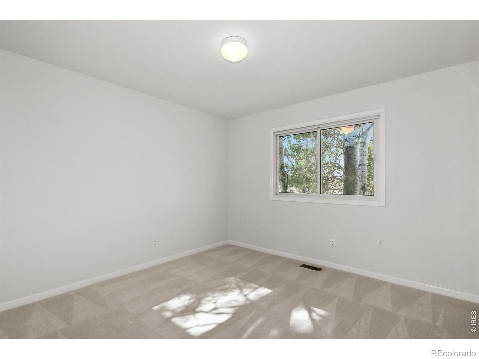 6367 Falcon Ridge Court Fort Collins CO 80525