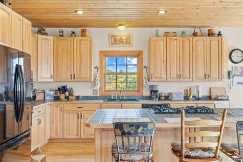 76 No Place Road Hartsel CO 80449