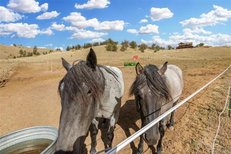 76 No Place Road Hartsel CO 80449