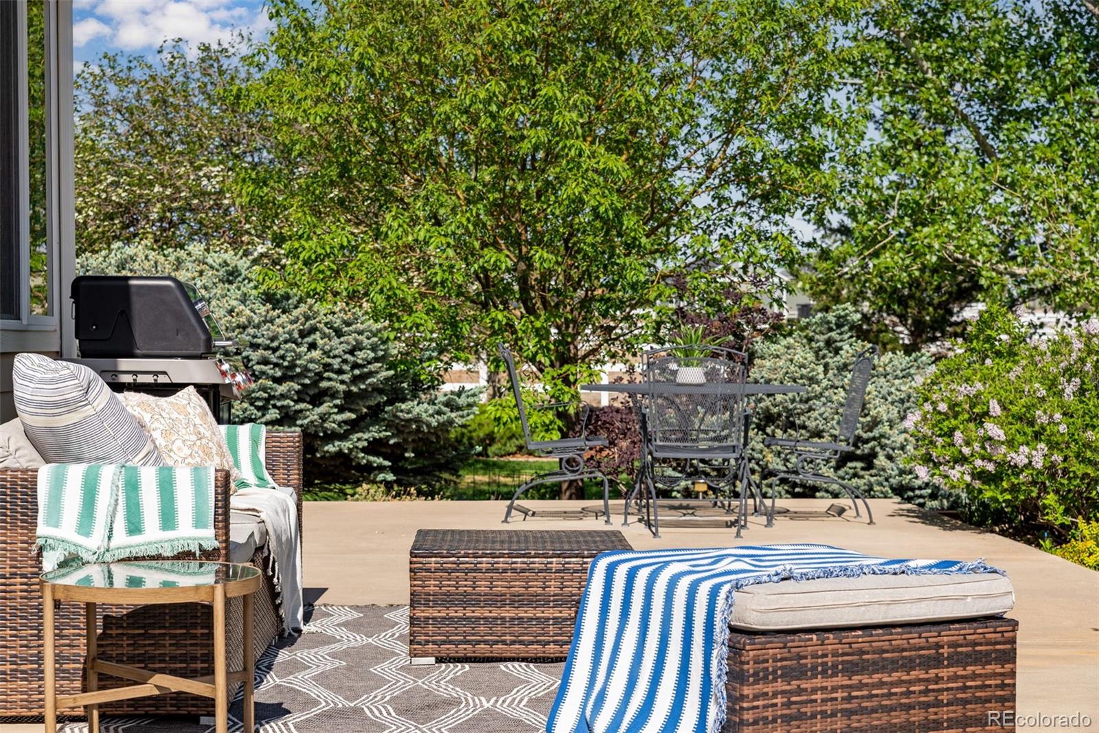 4406 Indigo Drive Severance CO 80550