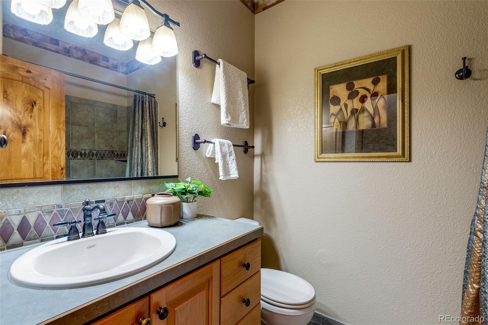 4406 Indigo Drive Severance CO 80550