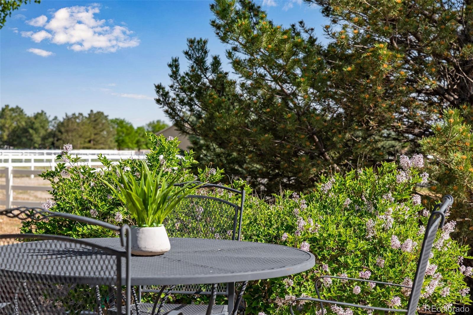 4406 Indigo Drive Severance CO 80550