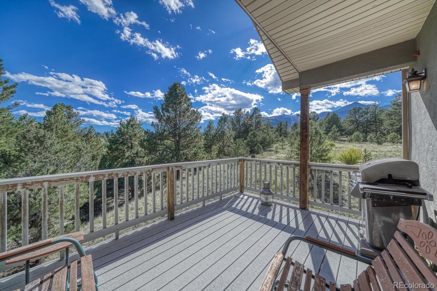 14701 County Road 261c Nathrop CO 81236