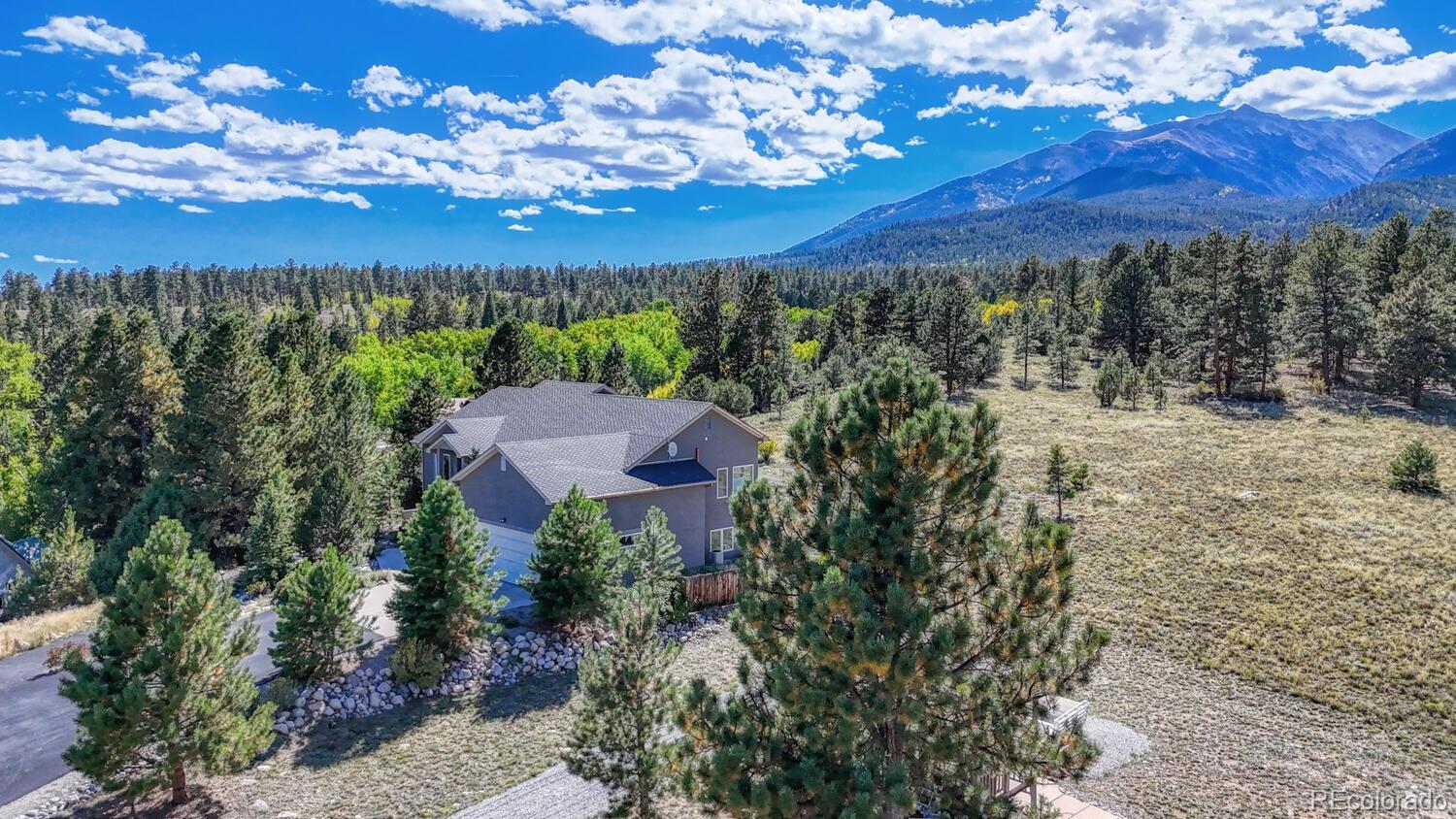 14701 County Road 261c Nathrop CO 81236