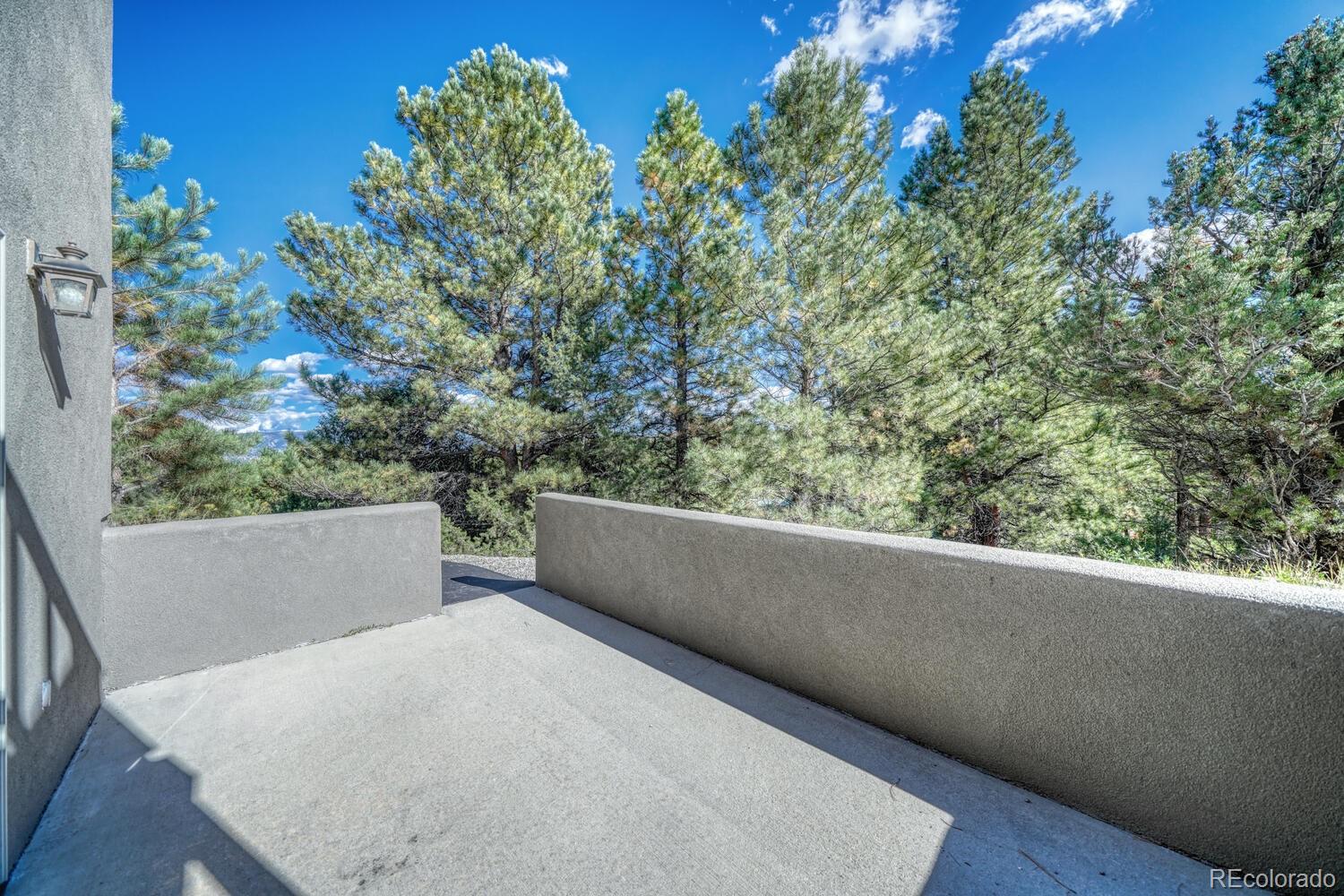 14701 County Road 261c Nathrop CO 81236