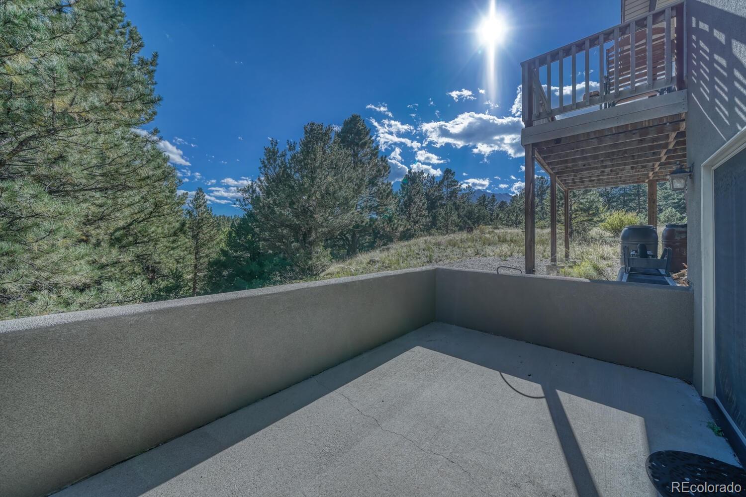14701 County Road 261c Nathrop CO 81236