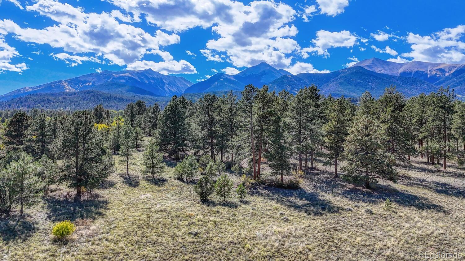 14701 County Road 261c Nathrop CO 81236