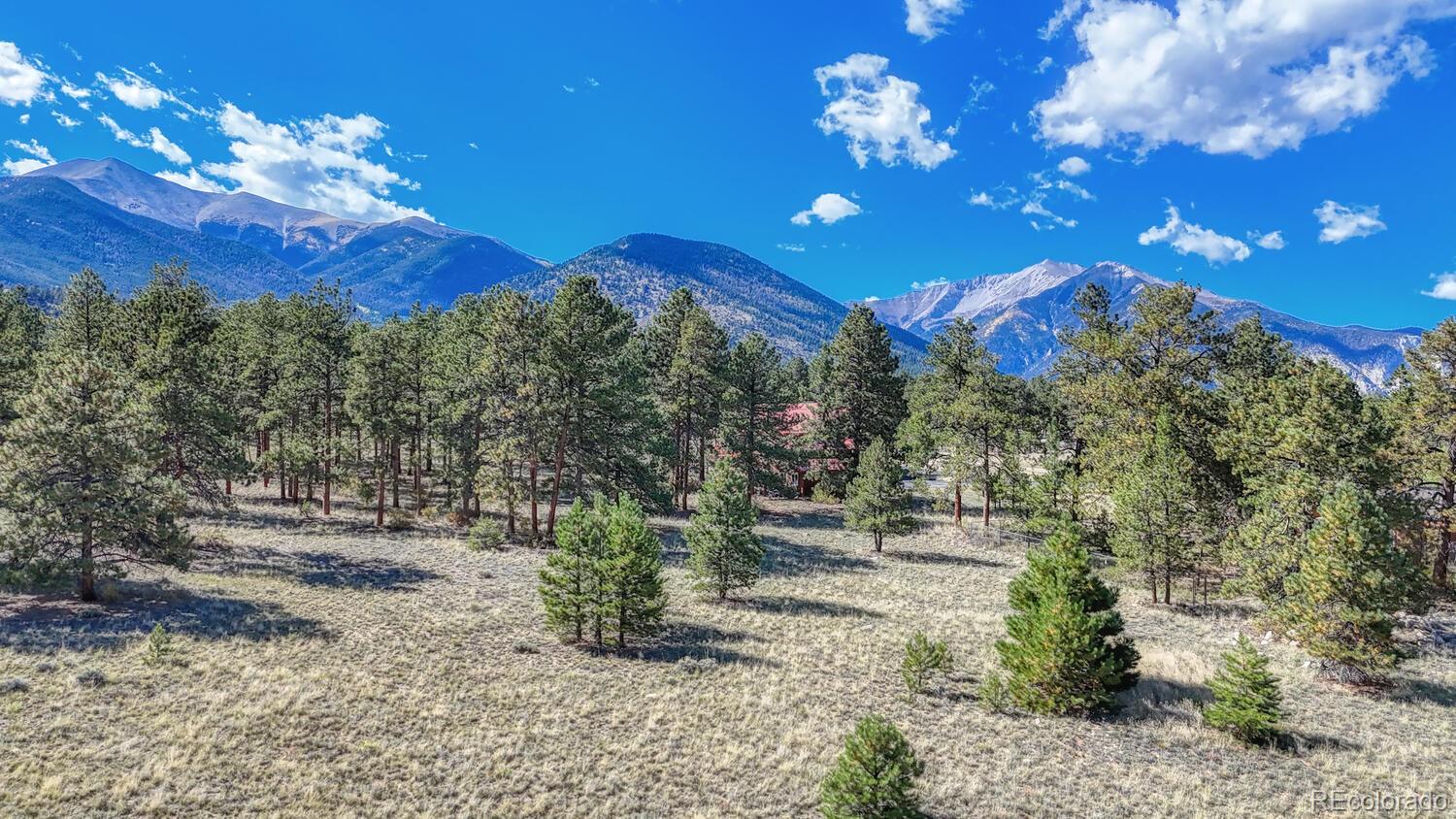 14701 County Road 261c Nathrop CO 81236