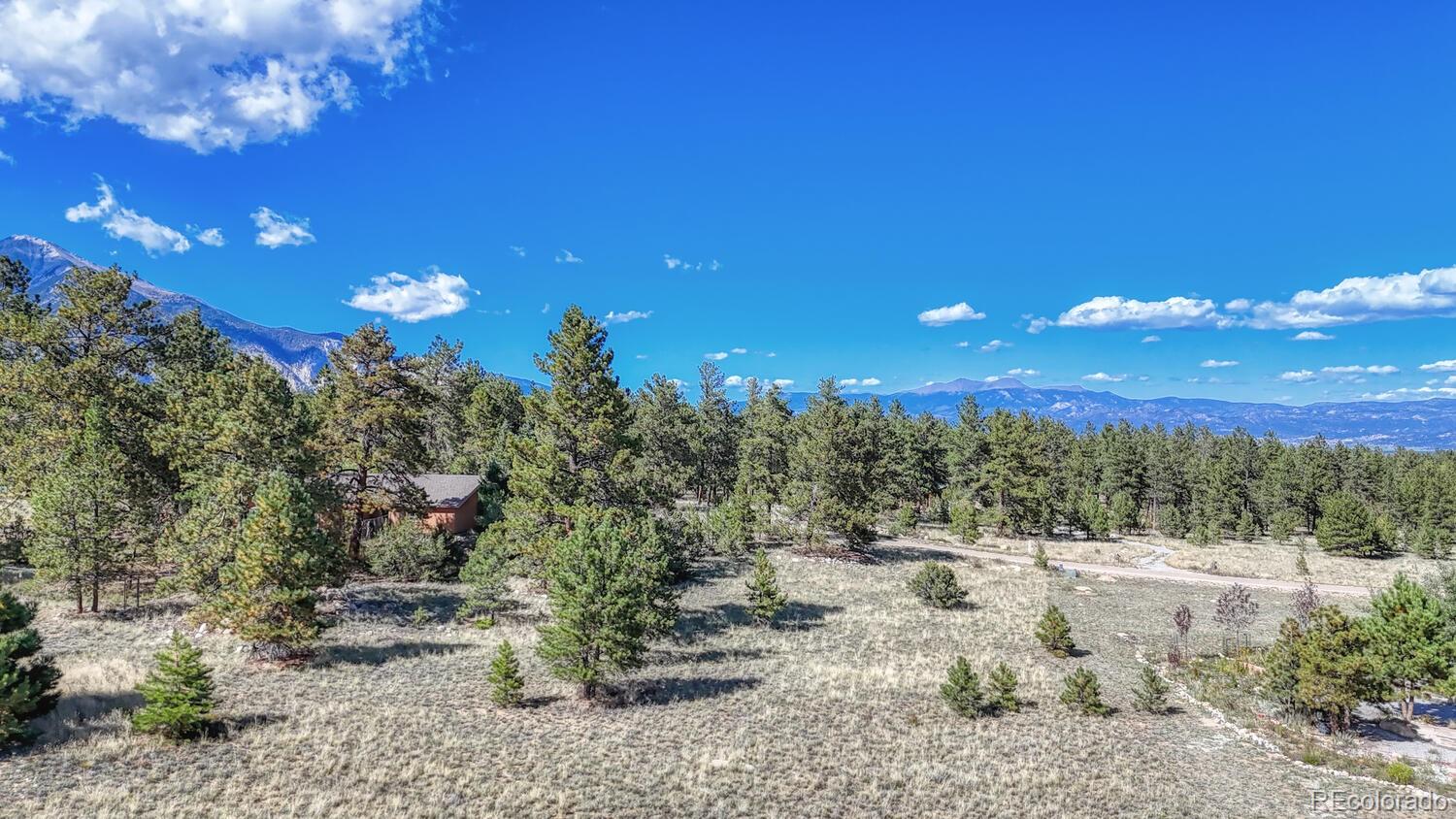 14701 County Road 261c Nathrop CO 81236