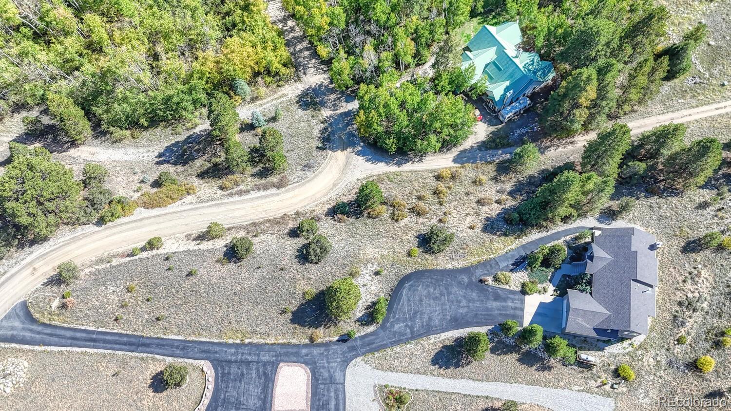 14701 County Road 261c Nathrop CO 81236