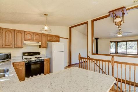15194 Heywood Lane Nathrop CO 81236