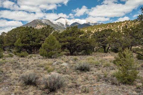 15194 Heywood Lane Nathrop CO 81236