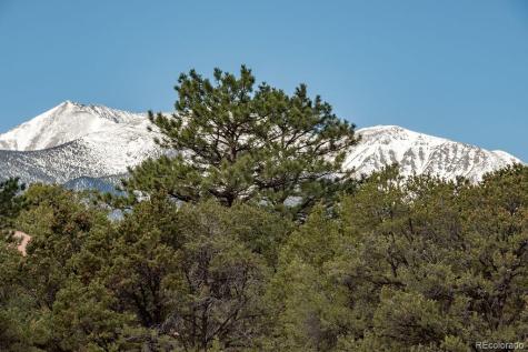 15194 Heywood Lane Nathrop CO 81236