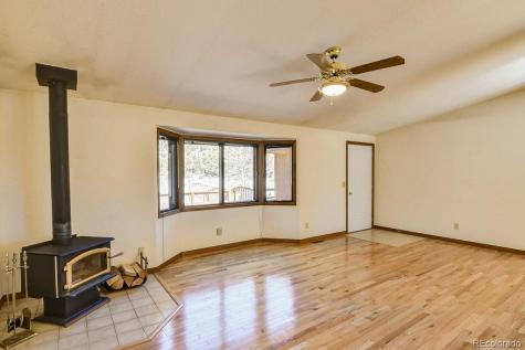 15194 Heywood Lane Nathrop CO 81236