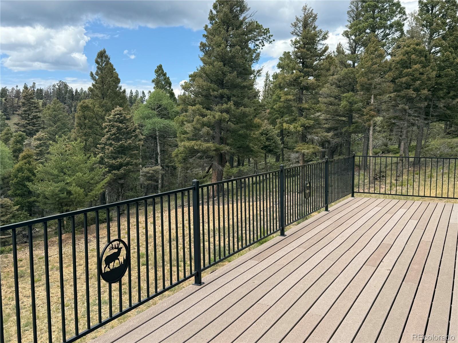 217 Greaves Lane Fort Garland CO 81133