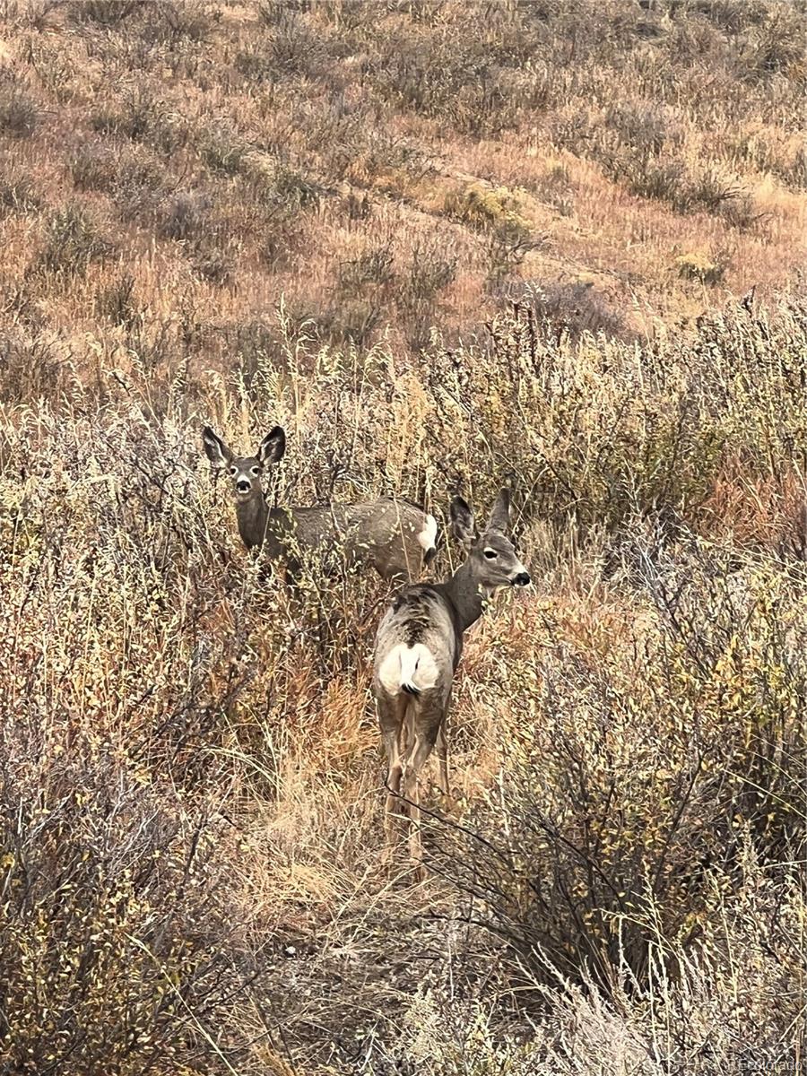940 S County Road 29 Loveland CO 80537