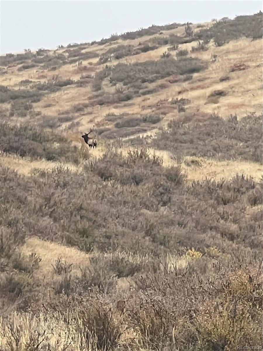 940 S County Road 29 Loveland CO 80537