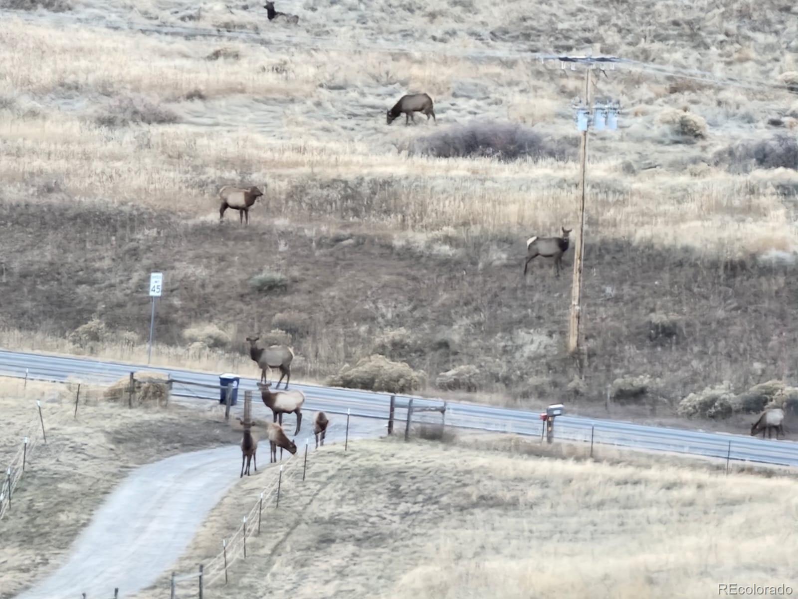 940 S County Road 29 Loveland CO 80537