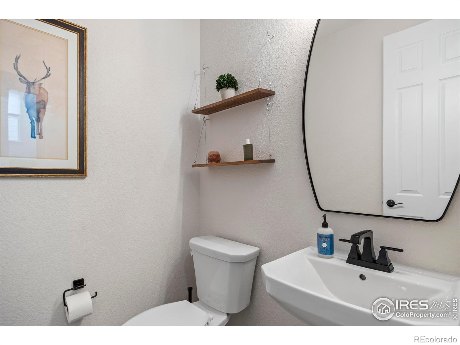 951 Rustling Street Windsor CO 80550