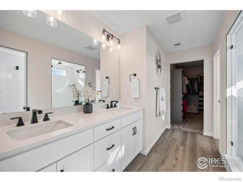 951 Rustling Street Windsor CO 80550