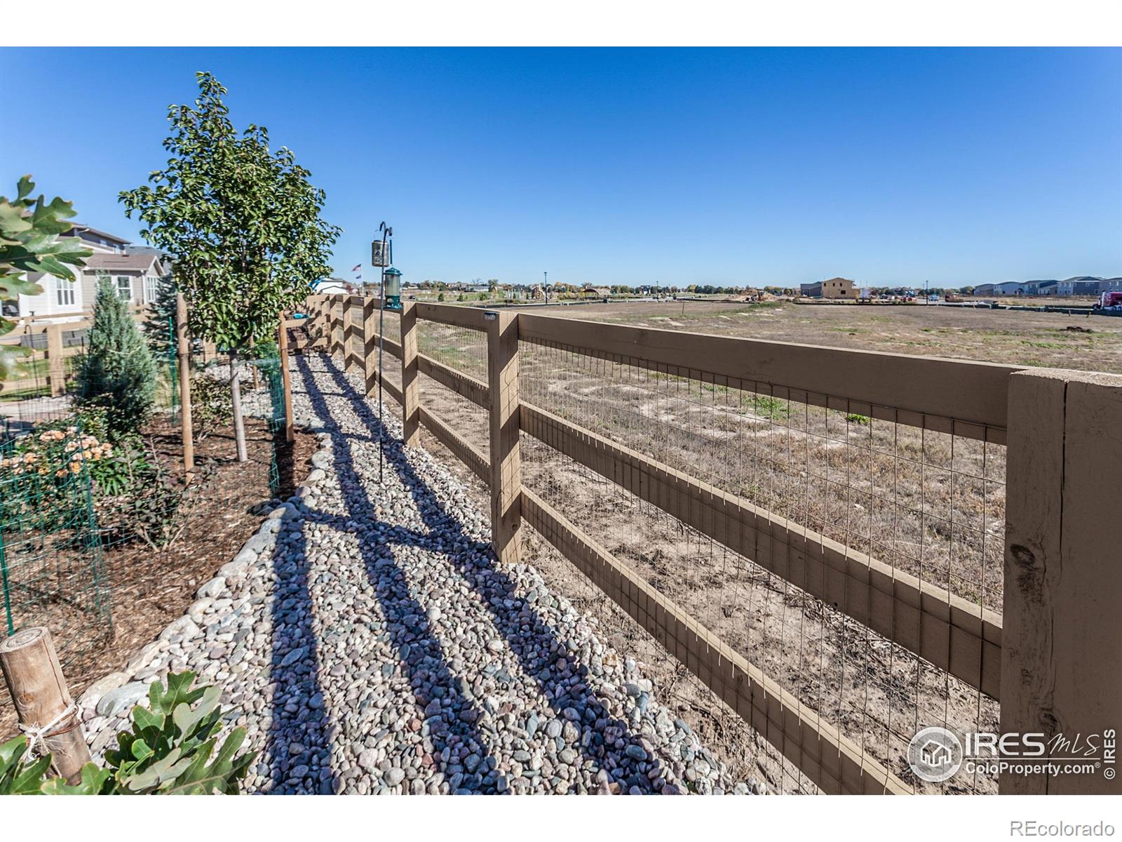 951 Rustling Street Windsor CO 80550