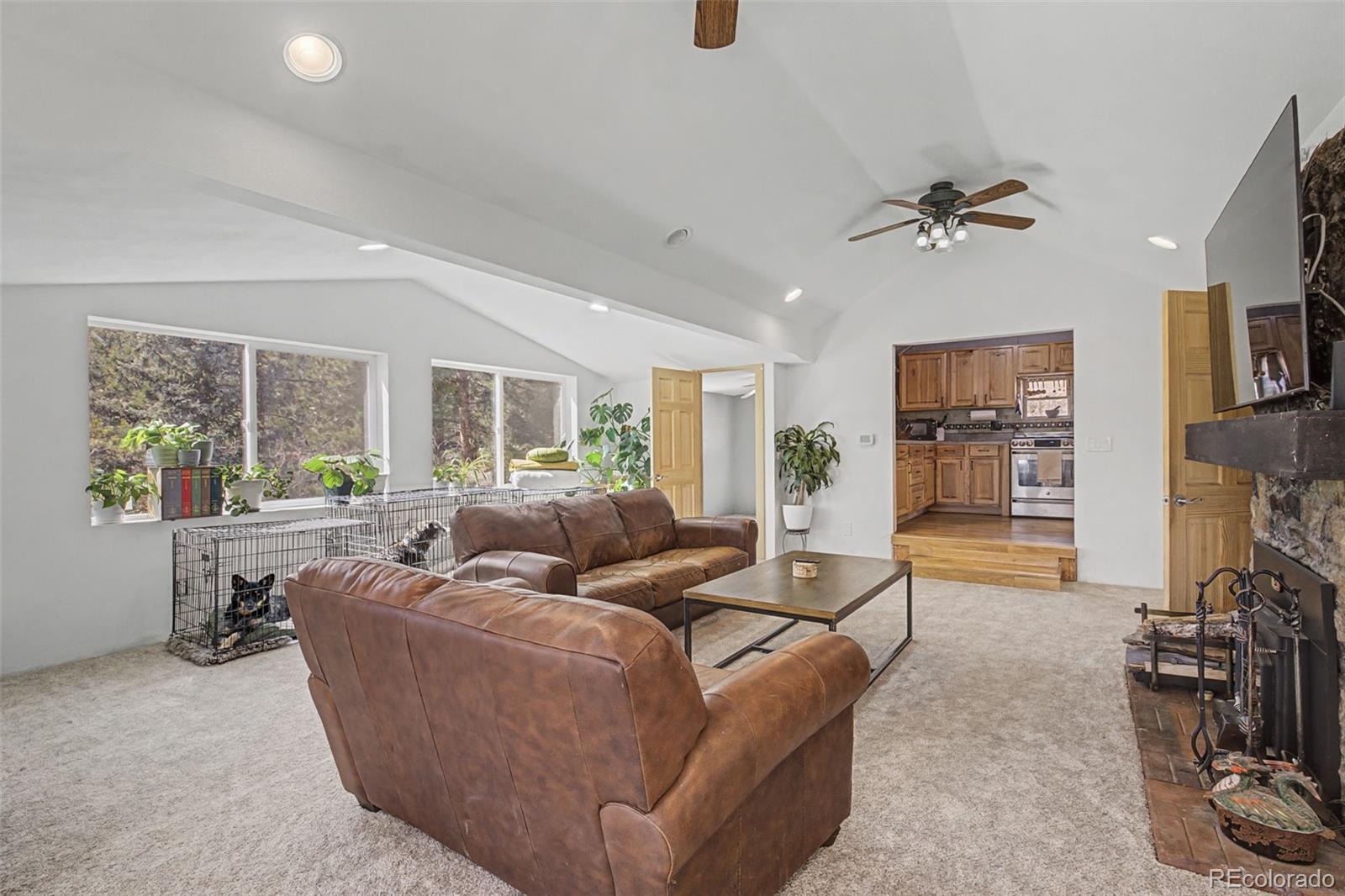 10116 Sprucedale Drive Conifer CO 80433